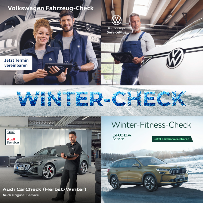 Winter-Fahrzeug-Check gratis bei ELBTOR